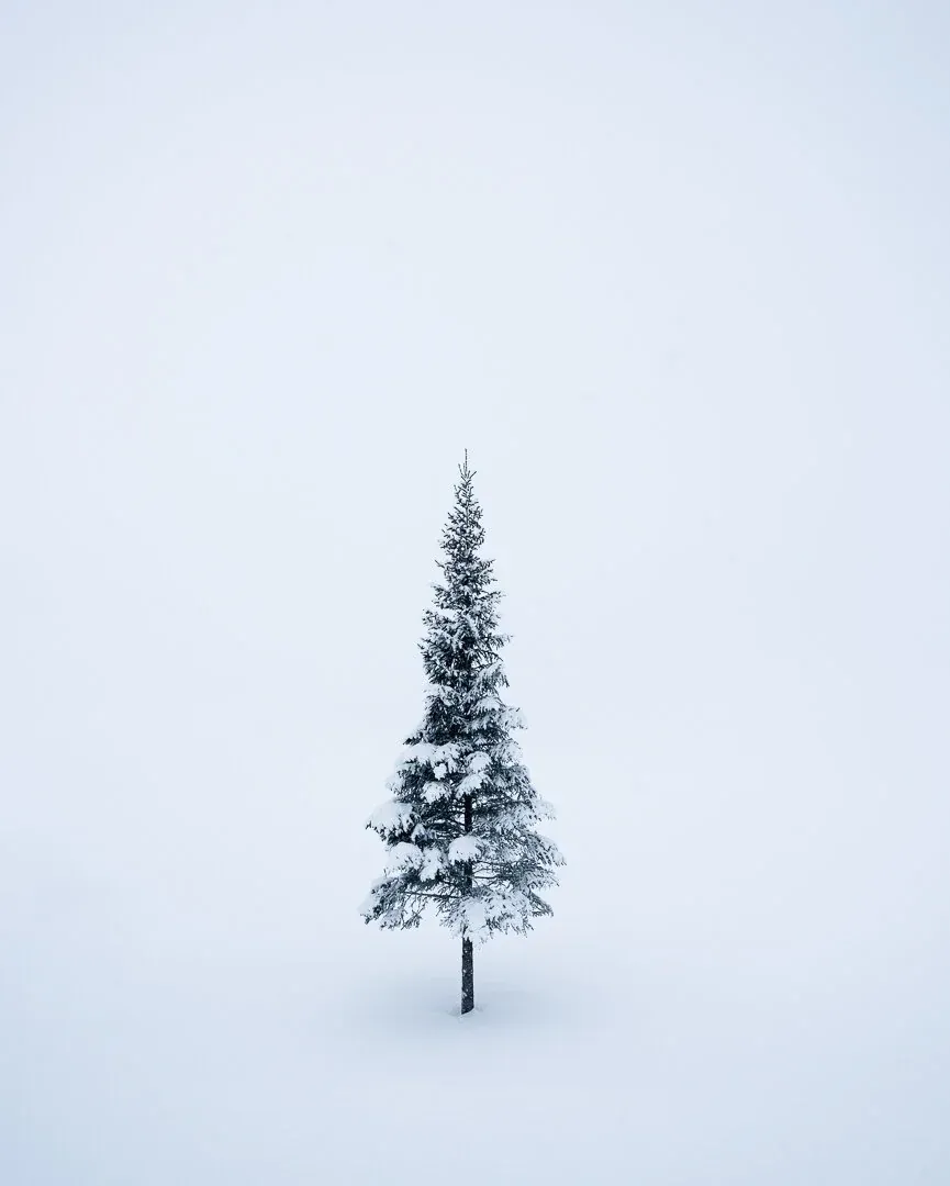 10 Creativity Boosting Habits for Photographers