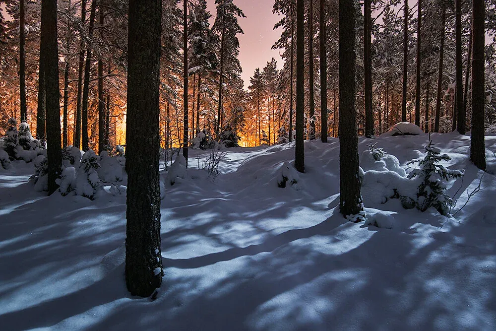Mikko Lagerstedt - Between Two Worlds II - Nokia, Finland - 2013