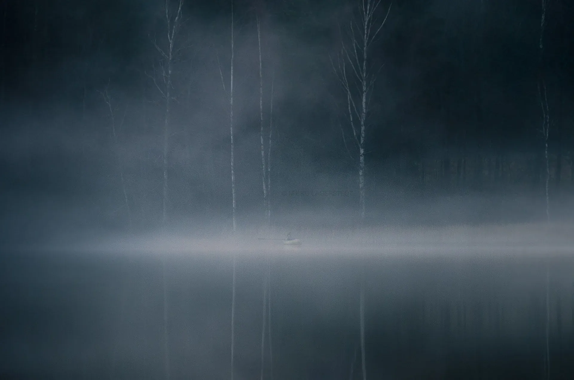 Lost in the shadows