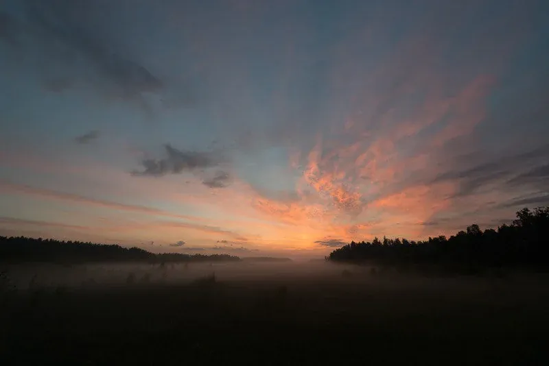 Dawn
