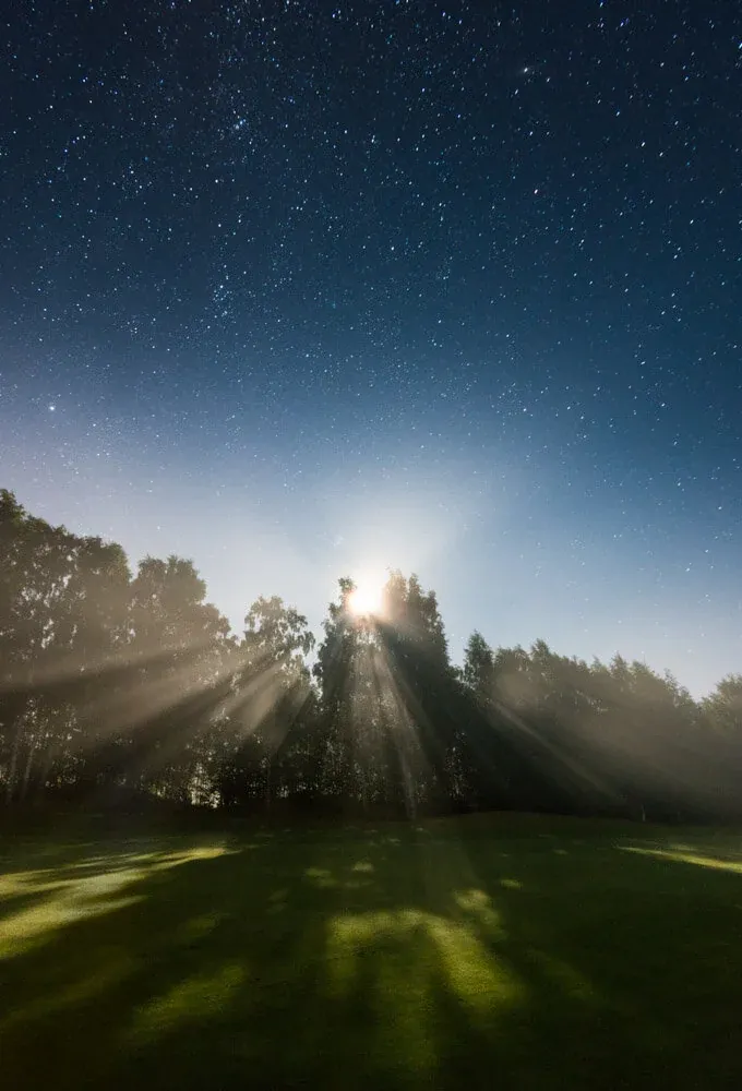 Moonrays