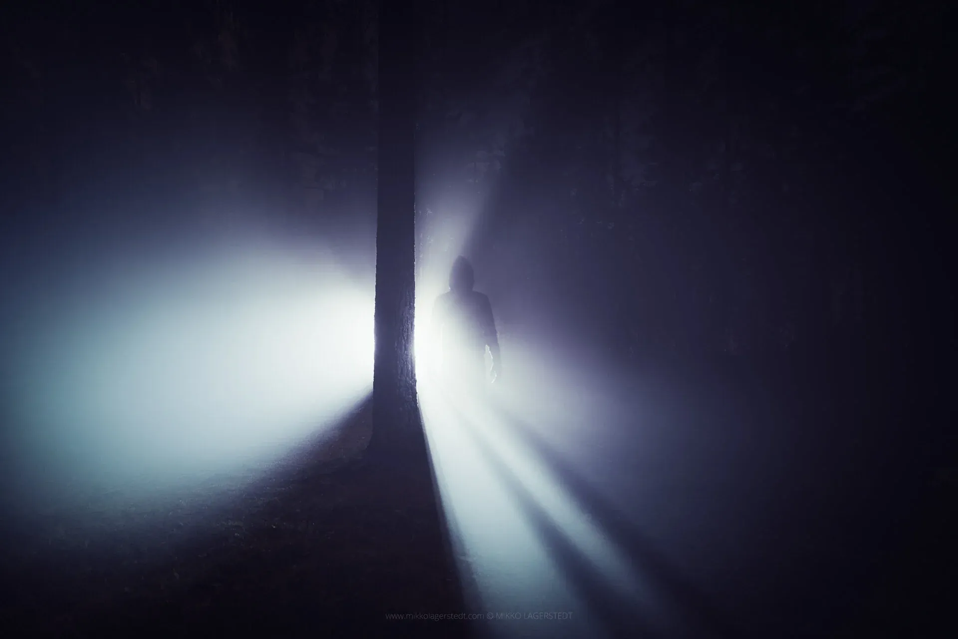 Lost In The Mist