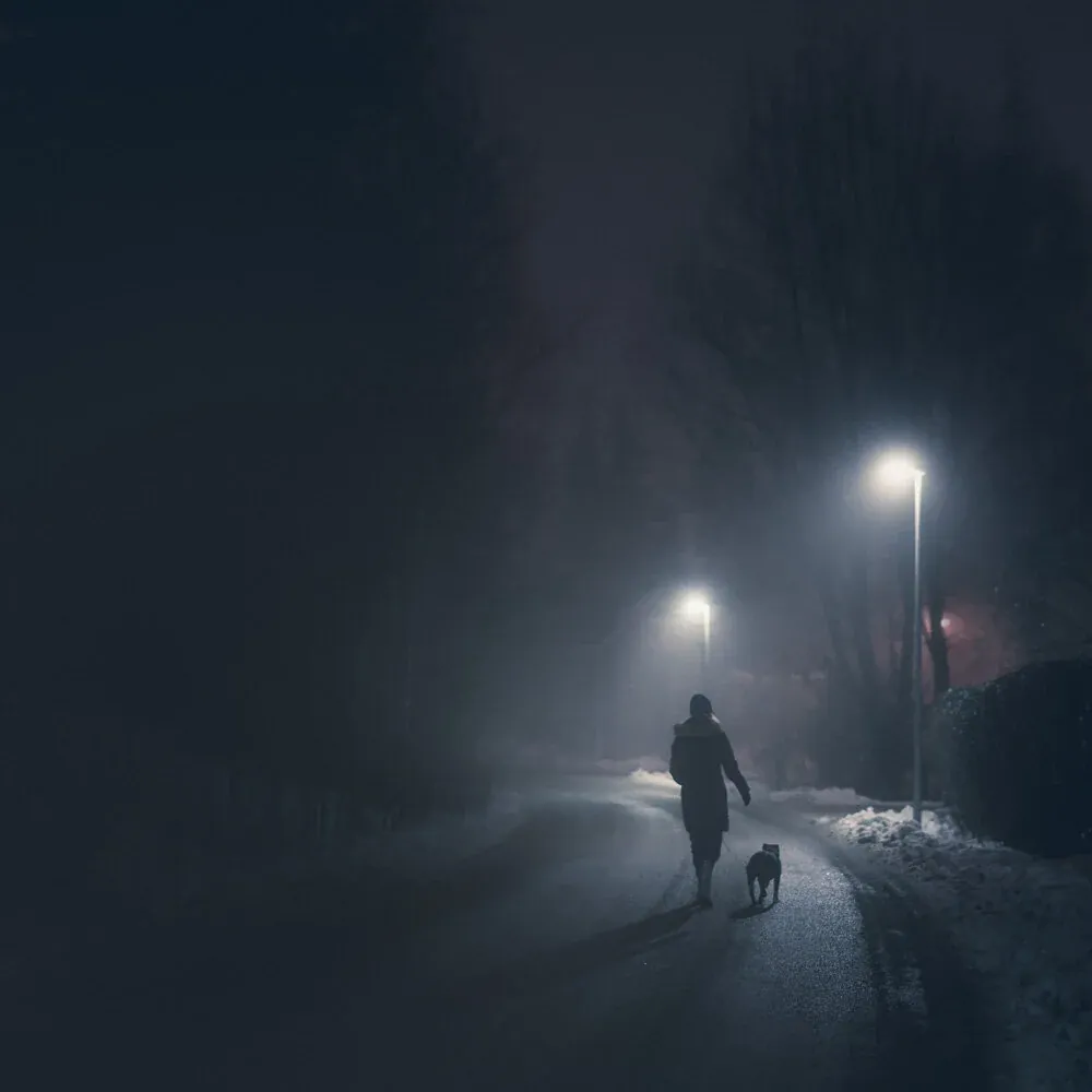 Mikko Lagerstedt - Night Walk - 2014, Kerava, Finland