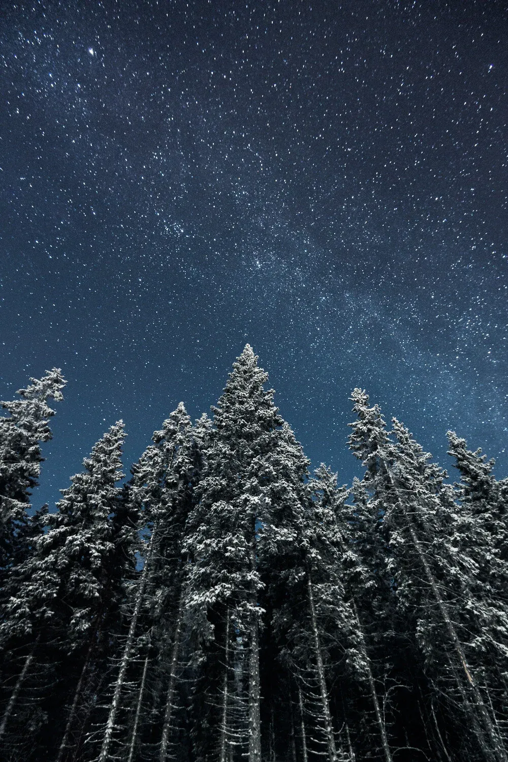 Moonlit