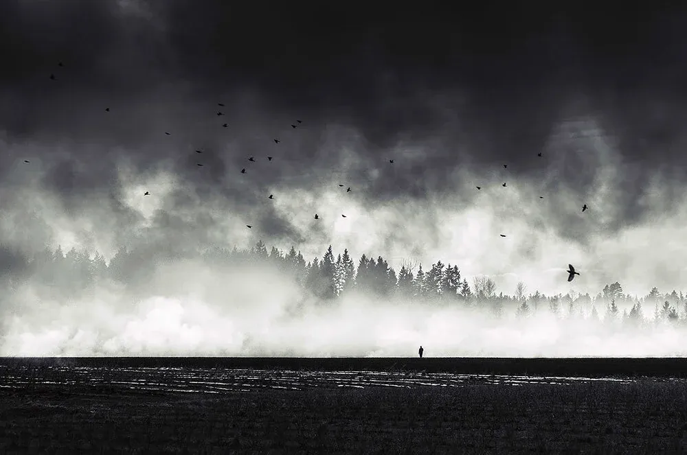 Print Giveaway Winner XII