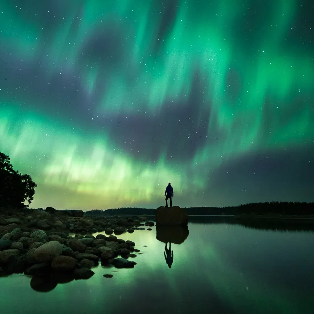 Illuminated Night