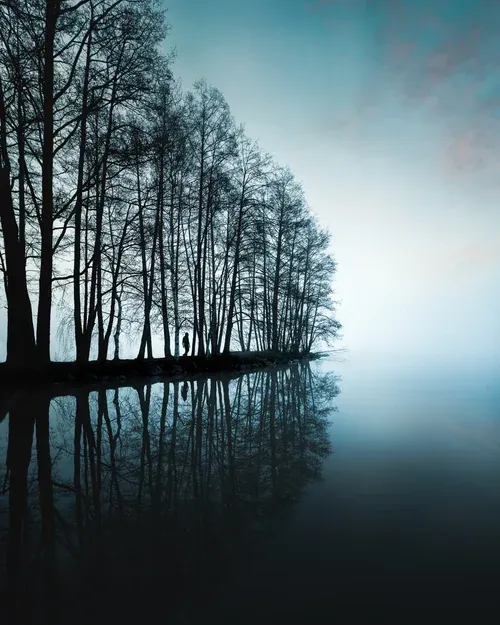 In The Early Morning Mist