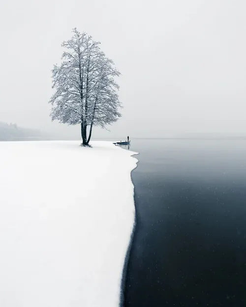 First Snow