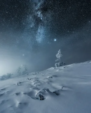 Frozen Night