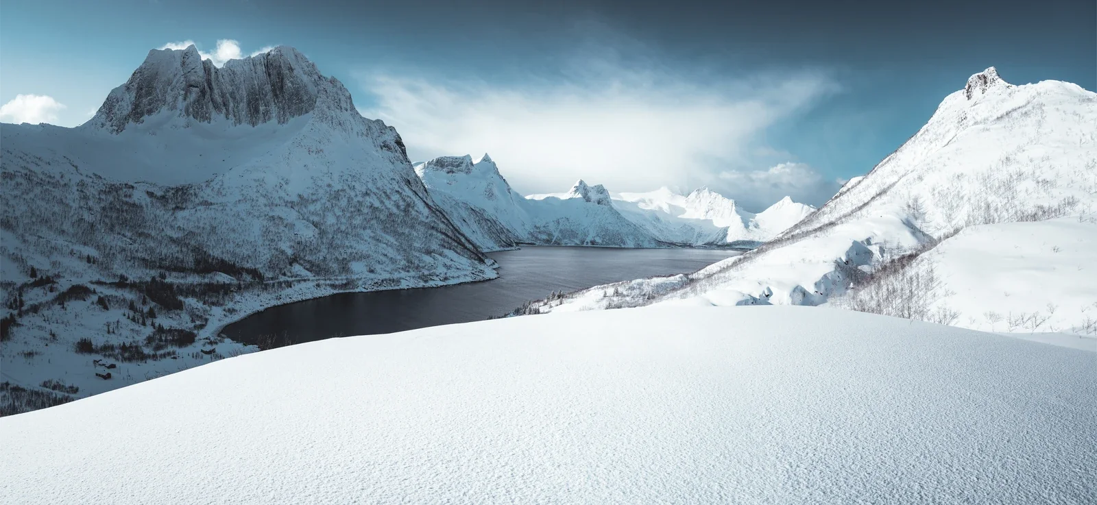 Pristine