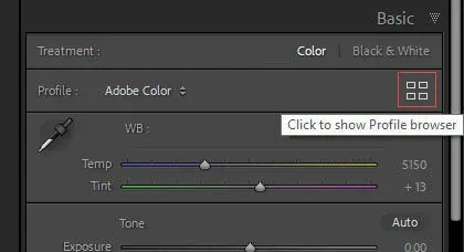 Basic settings > Profile browser