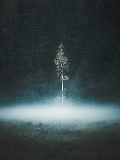 Quiet Solitude