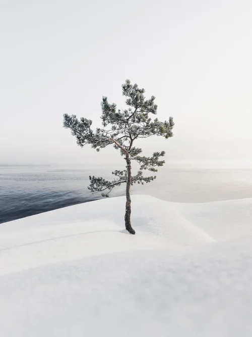 Resilience