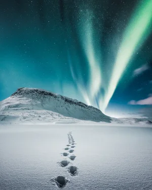 Towards the Light
