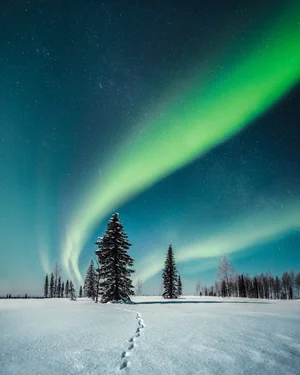 Guiding Lights