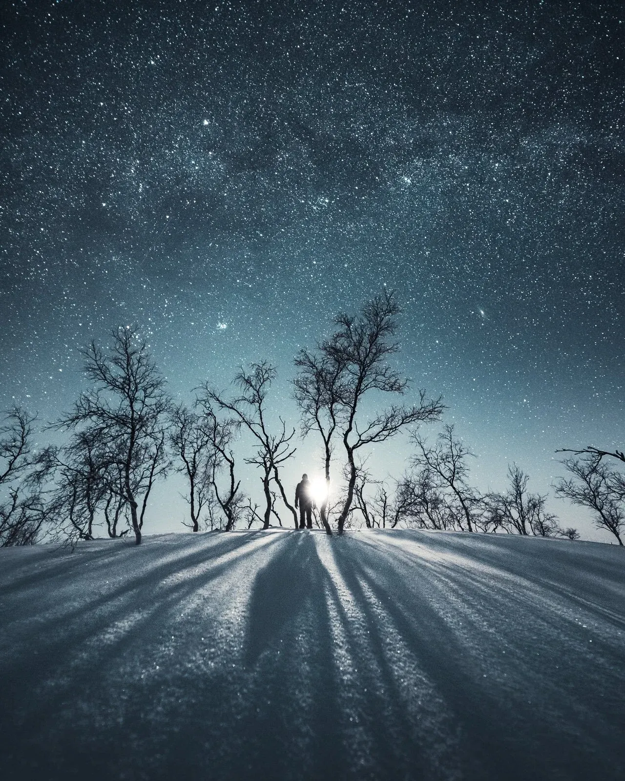 Unlock Your Photography Potential