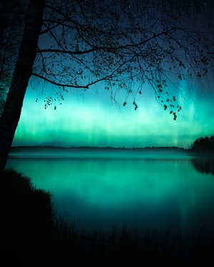 Stillness 2