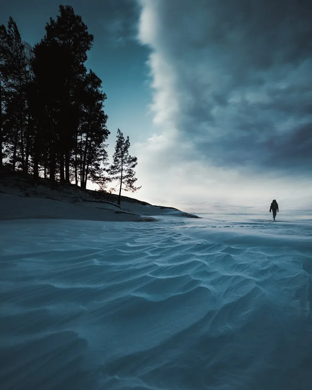 Mikko Lagerstedt – Windswept – 2022, Tuusulanjärvi Finland
