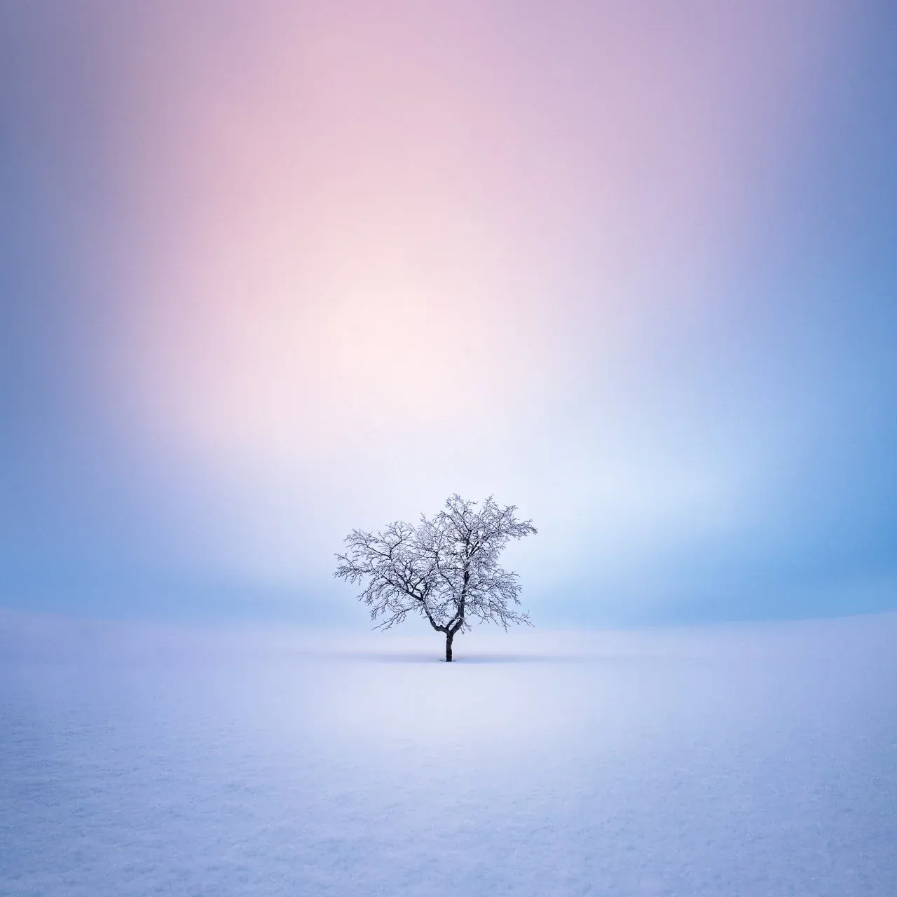 TUTORIALS Check out my latest posts and tutorials. FREE TUTORIALS