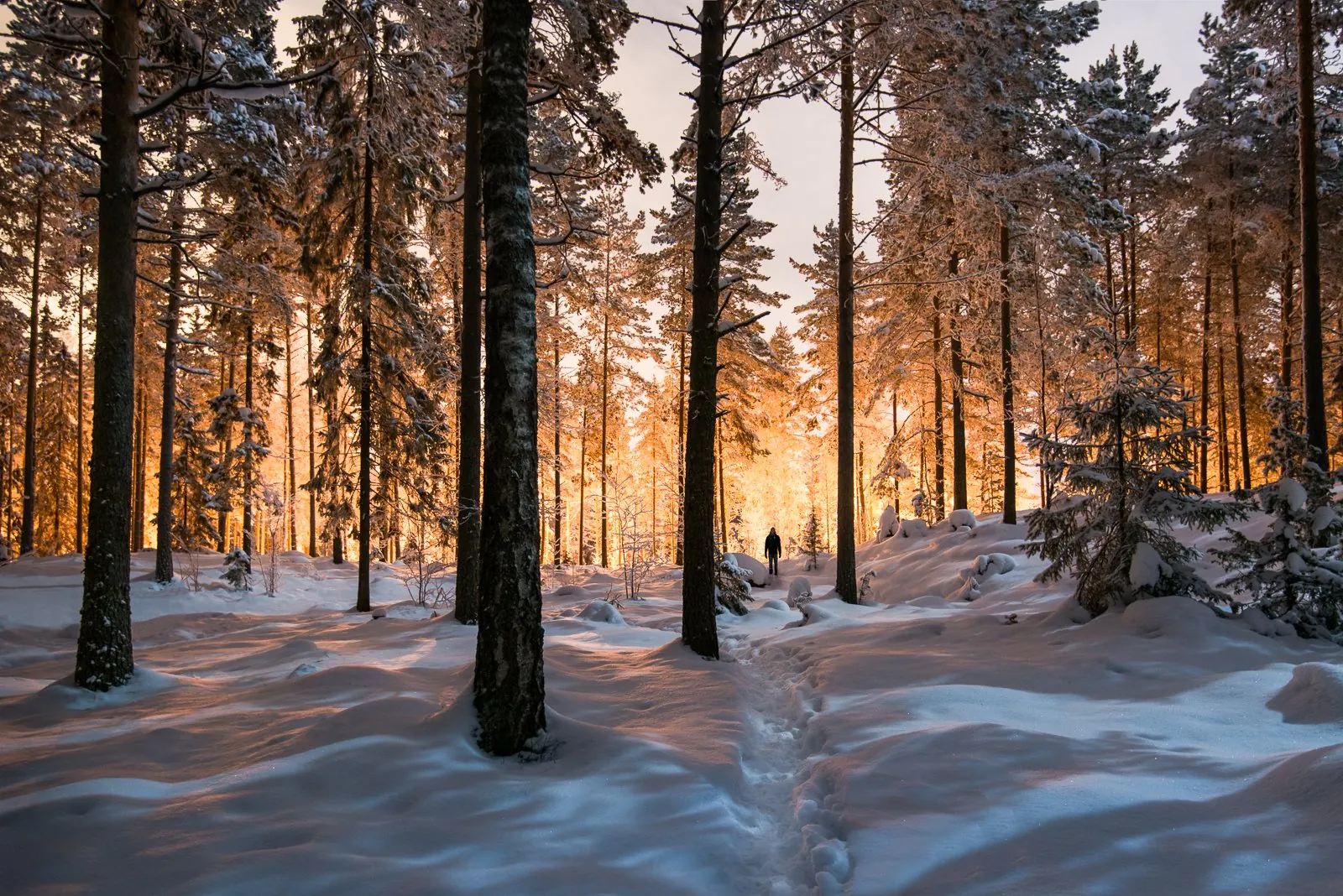 Between Two Worlds, a landscape photograph centered on solitude from the Alone collection by Mikko Lagerstedt.