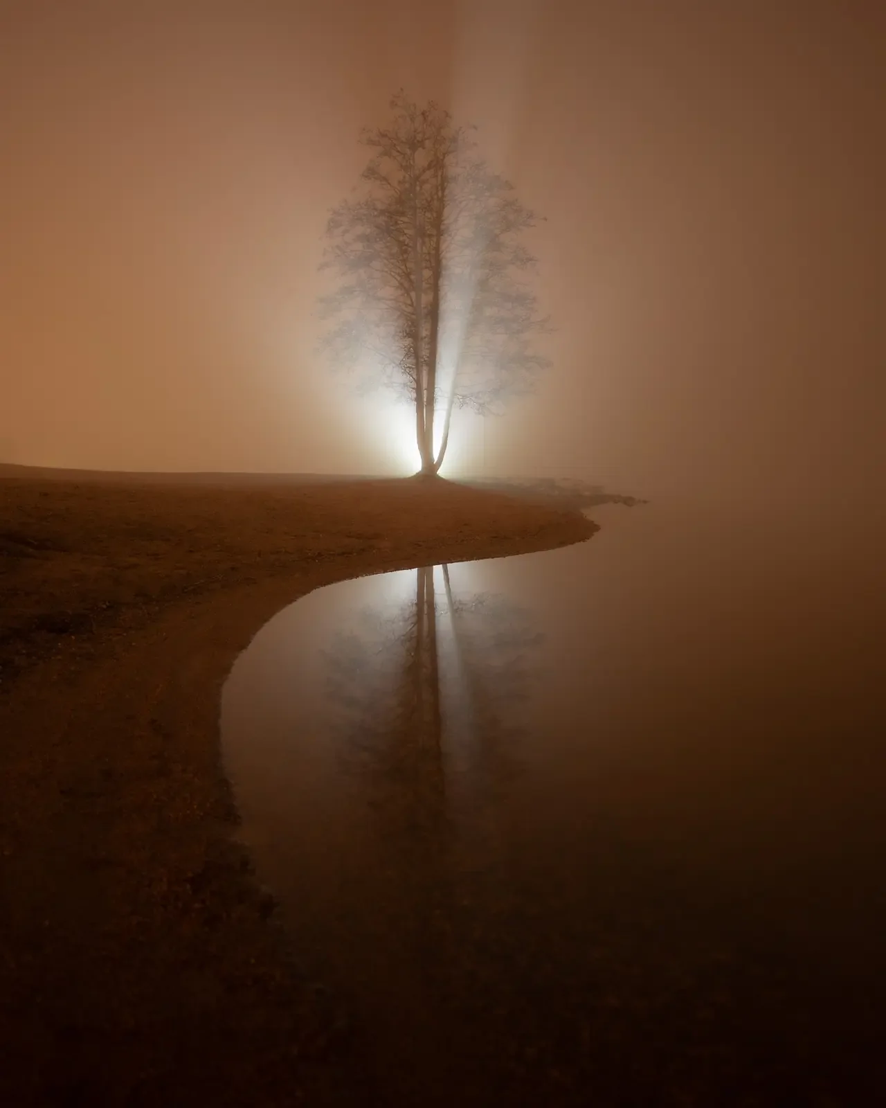 Tree in fog before EPIC editing