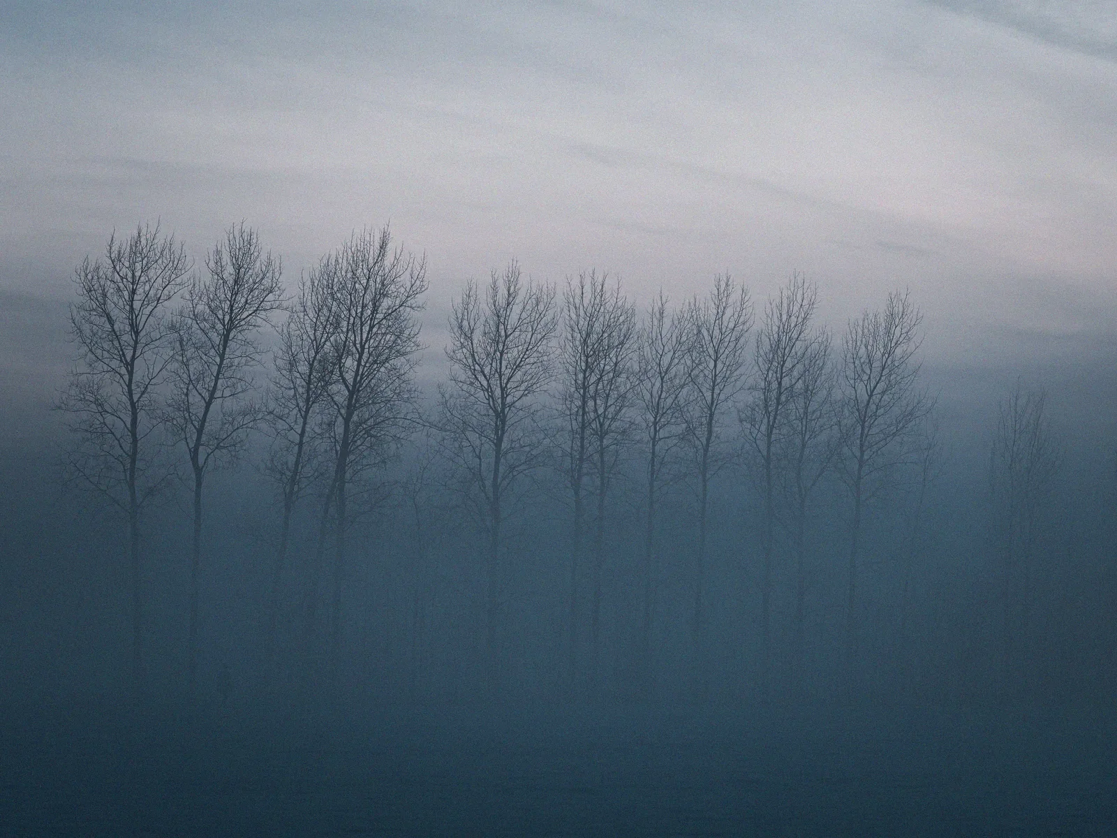 Minimal winter shoreline fading into silence and soft light