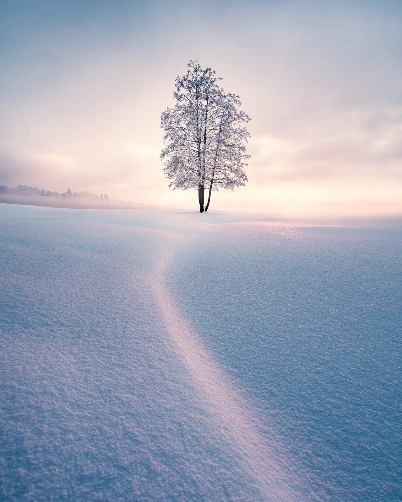 Winter Solitude, an atmospheric landscape photograph from the Recent collection by Mikko Lagerstedt.