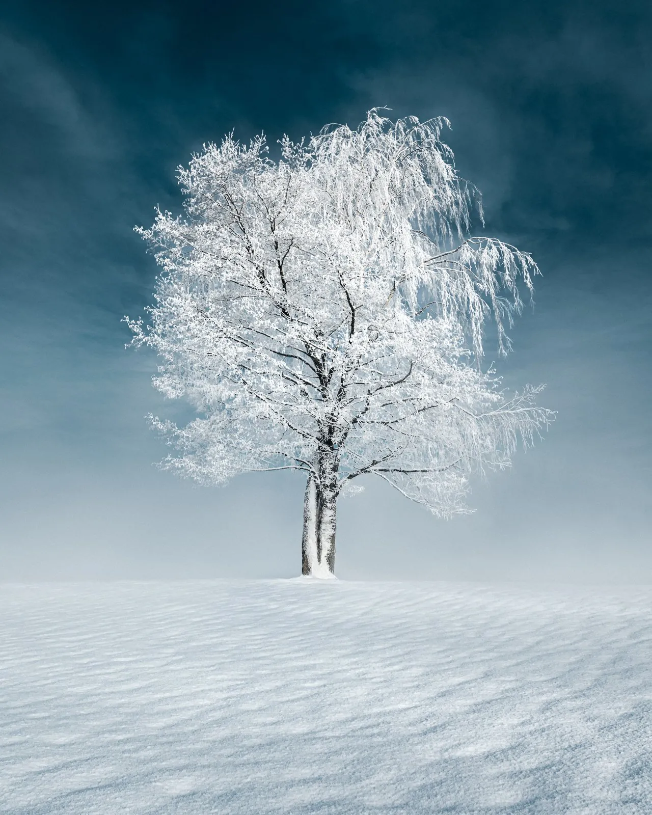 Wonder, an atmospheric landscape photograph from the Recent collection by Mikko Lagerstedt.