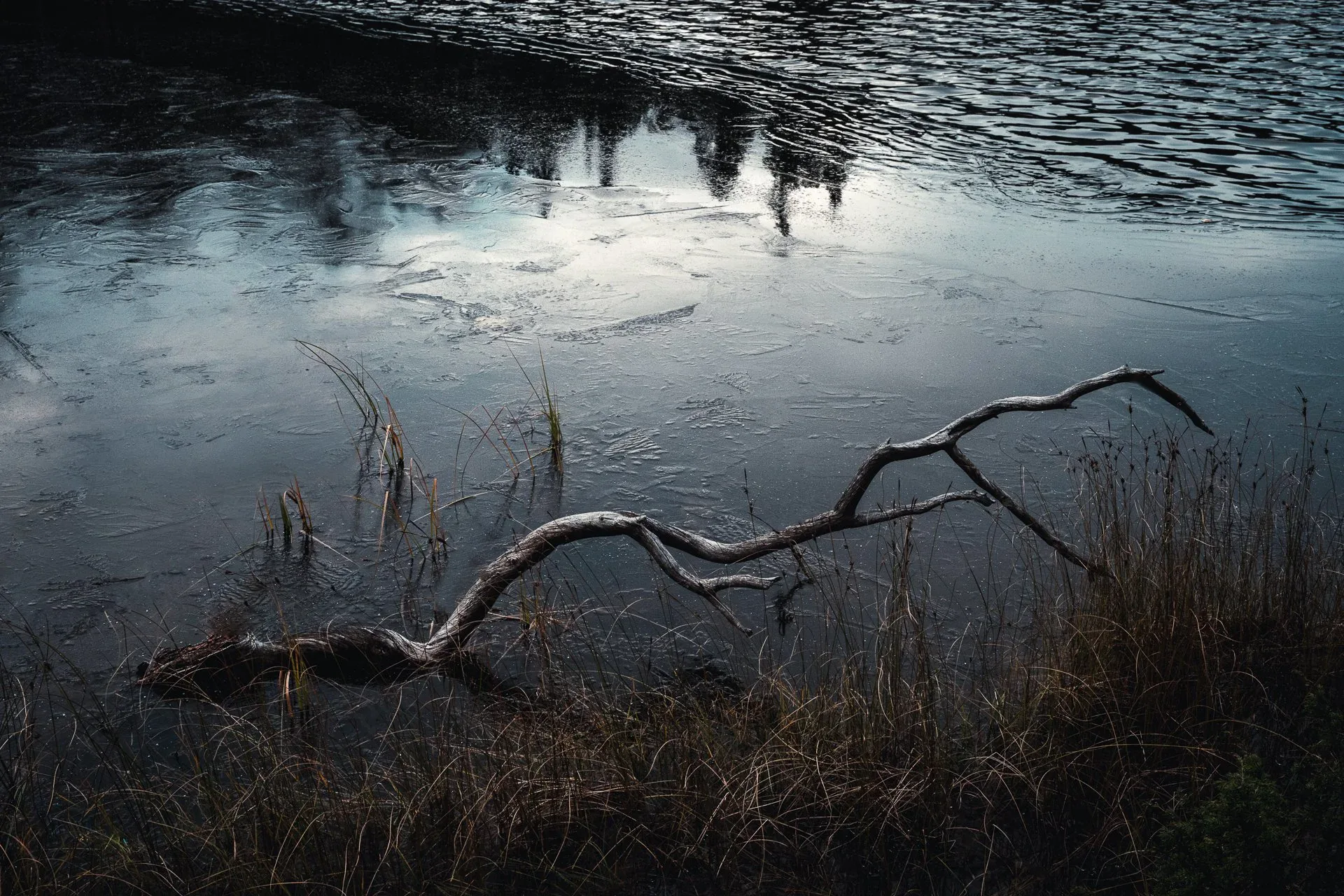 Dark still lake reflecting winter sky and bare trees